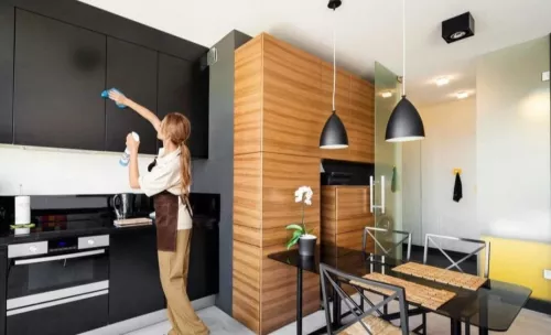 Клининговая компания Братья Чистовы  в  Санкт-Петербурге