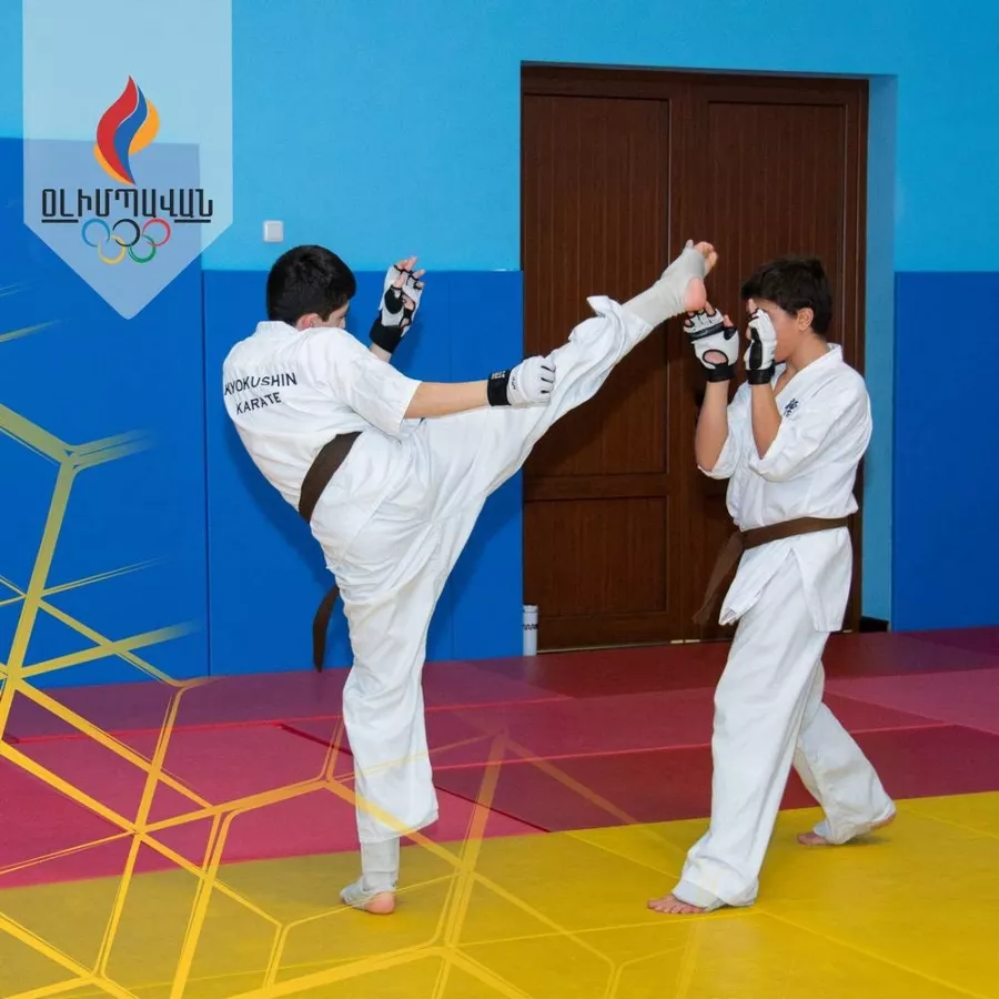 Спортивный комплекс Olympavan в Ереване: Бокс, Тхэквандо, Дзюдо, Тяжелая атлетика, Бассейн, Тренировка , Тренажерный зал, Персональный тренер, Групповые тренировки,