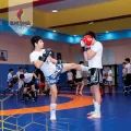 Миниатюра 11