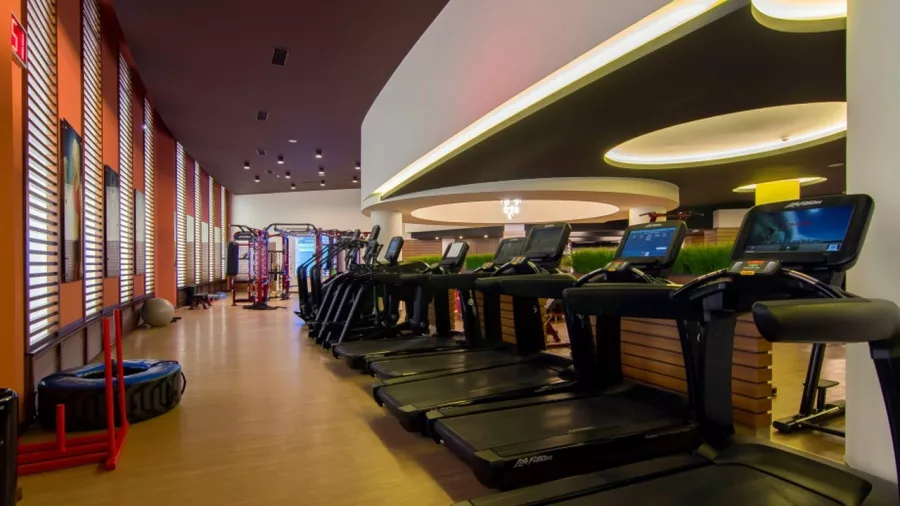 Спортивно-оздоровительный комплекс Multi Wellness в Ереване: Фитнес-клуб, Бассейн, Тренажерный зал, Тренирока, Групповые тренировки, Индивидуальный тренер,
