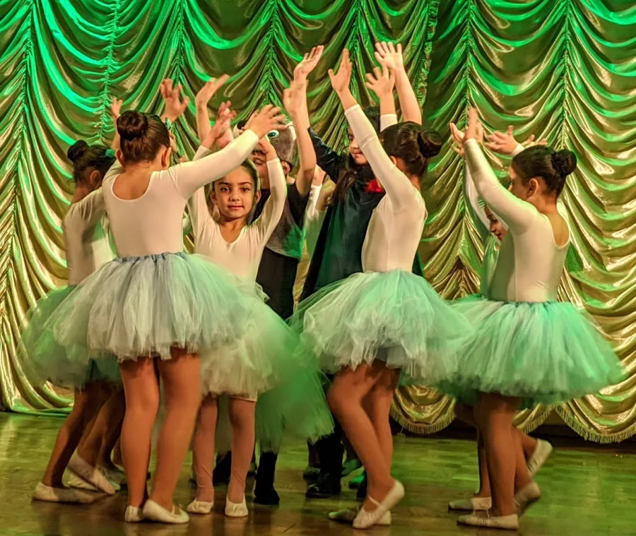 Школа танцев Areni Dance Studio в Ереване: Индивидуальные Тренировки, Частные Уроки, Хореография, Народные Танцы, Фитнес, Спортзал, Танцы На Заказ, Хип-хоп,