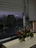Миниатюра 9
