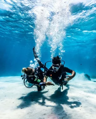 Центр Дайвинга «Dive Concepts Pemuteran»