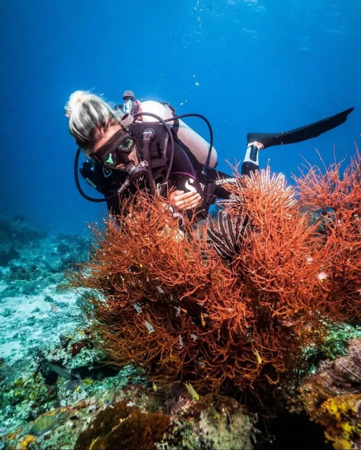 Центр Дайвинга Dive Concepts Pemuteran в Бали: Дайвинг, Сноркелинг , Акваланг, Scuba diving , Diving , Snorkeling , Погружение,