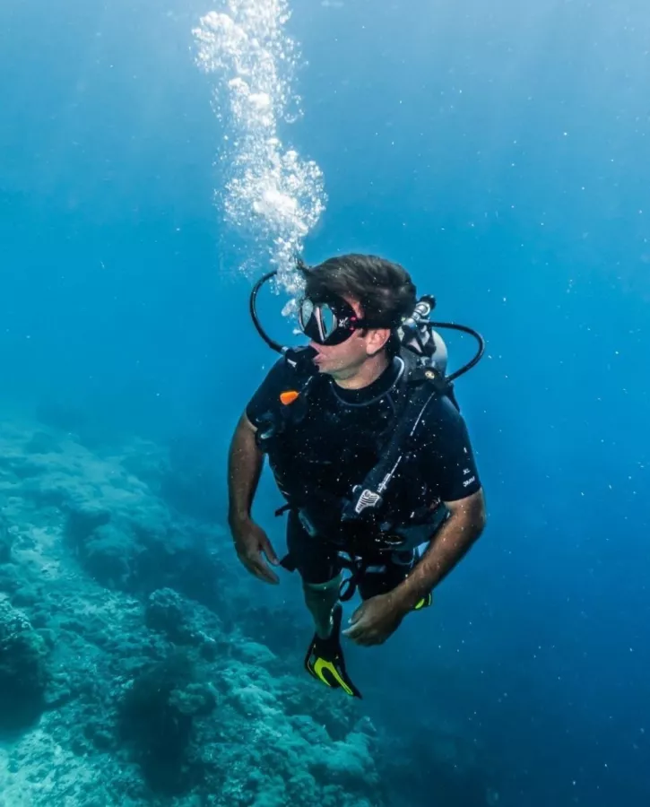 Центр Дайвинга Dive Concepts Pemuteran в Бали: Дайвинг, Сноркелинг , Акваланг, Scuba diving , Diving , Snorkeling , Погружение,