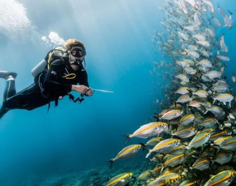 Центр Дайвинга «Dive Concepts Pemuteran»