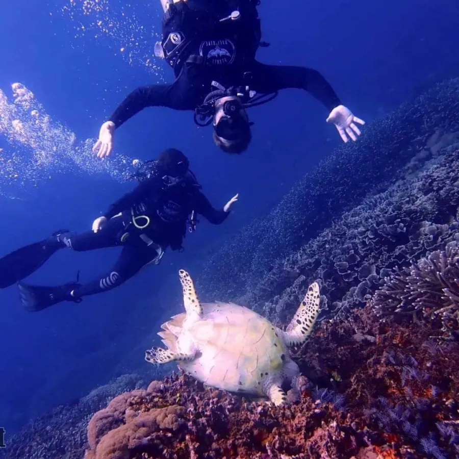 Центр Дайвинга Planet Bali Dive в Бали: Дайвинг , Погружение , Акваланг , Сноркелинг , Diving , Snorkeling , Scuba diving ,