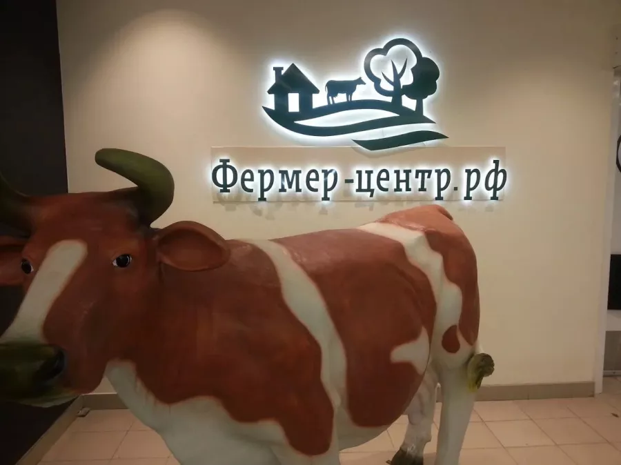 Рекламное агентство Аврора в Сочи: Визитки, Полиграфия, Реклама, Услуги,