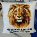 Миниатюра 7