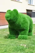 Миниатюра 2
