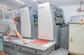 Миниатюра 7