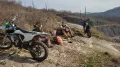 Миниатюра 10