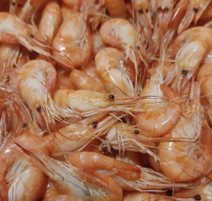 Магазин Пившоп в Анапе: Пиво, Морепродукты, Рыба, Безалкогольные напитки, Банные закуски, Разливной сидр, Снековая продукция, Раки,
