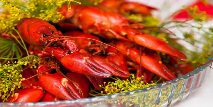 Раковарня Клешня в Ростове-на-Дону: Раки, Морепродукты, Рыба, Фишмаркет, Банные закуски, Лобстеры, Раковарня,