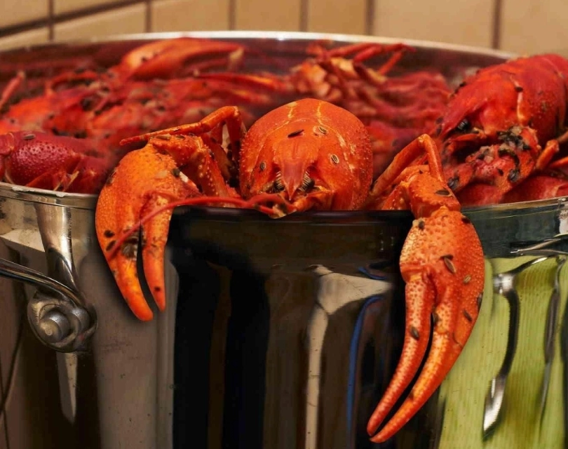 Раковарня Клешня в Ростове-на-Дону: Раки, Морепродукты, Рыба, Фишмаркет, Банные закуски, Лобстеры, Раковарня,