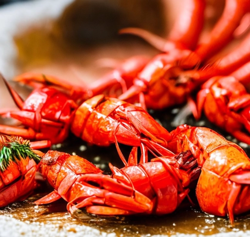 Магазин раков Glavrak в Сочи: Морепродукты, Банные закуски, Раки, Деликатесы, Фишмаркет, Покушать, Крабы,