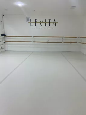 Хореографическое училище "LEVITA"