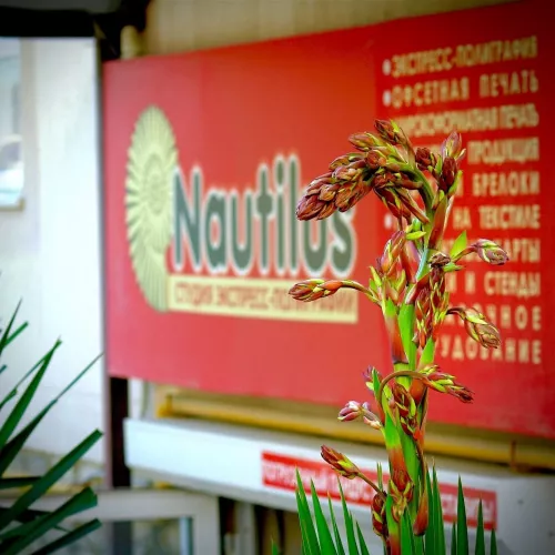 Студия экспресс-полиграфии Nautilus  в  Геленджике