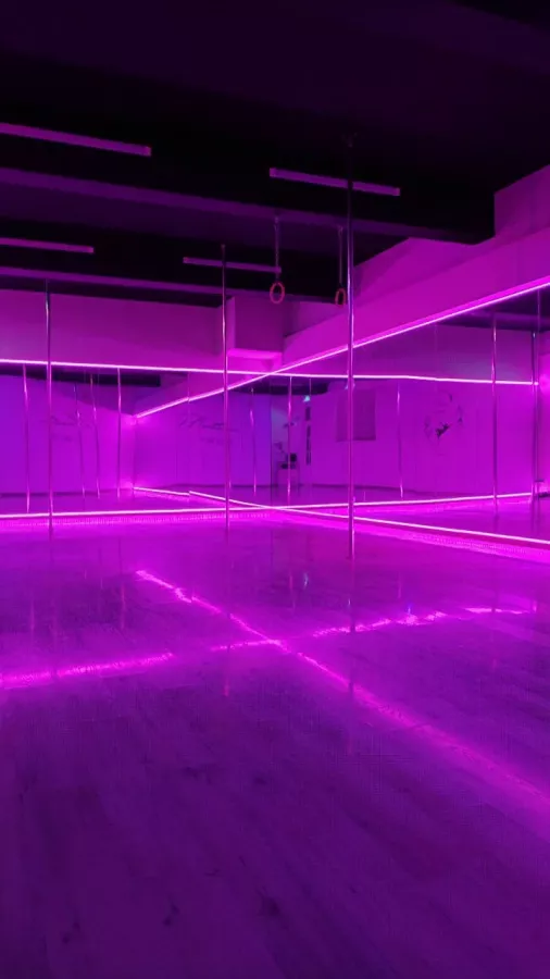 Танцы с Pole Dance studio Martini в Ереване: Танцы, Хореография, Групповые танцы, Растяжка, Современные танцы, Пластика, Постановка танца, Стрип-пластика,
