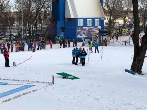Горнолыжная Школа Крыловых  в  Москве