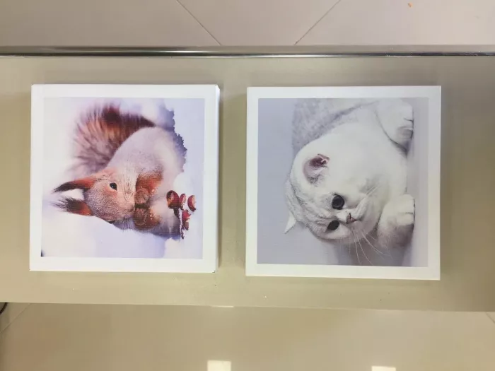 Рекламное агентство "Лагуна"