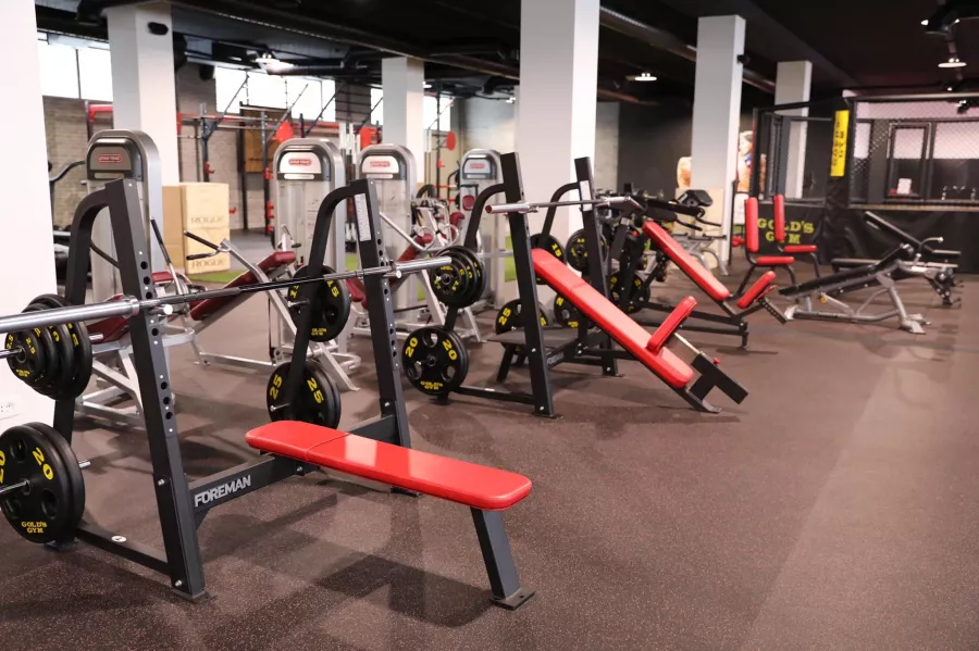 Спортивный комплекс Gold`s Gym в Ереване: Фитнес, Тренажеры, Тренировка, Персональный тренер, Бассейн, Йога, Стретчинг , Групповые тренировки, Пилатес, Аэробика,
