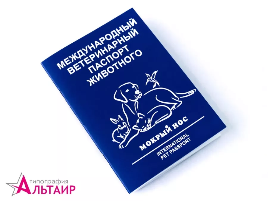 Типография Альтаир в Новороссийске: Визитки, Сувениры, Рекламные Услуги, Полиграфия, Наружная реклама, Продвигать, Объявления, Печать, Наклейки, Рекламное Агентство,