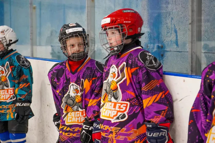 Хоккейная школа "Eagles"