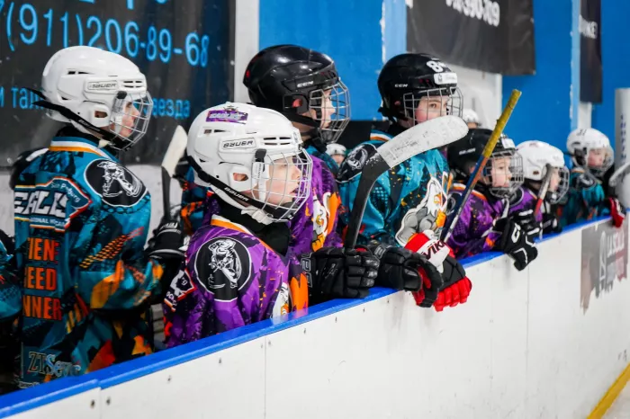 Хоккейная школа "Eagles"