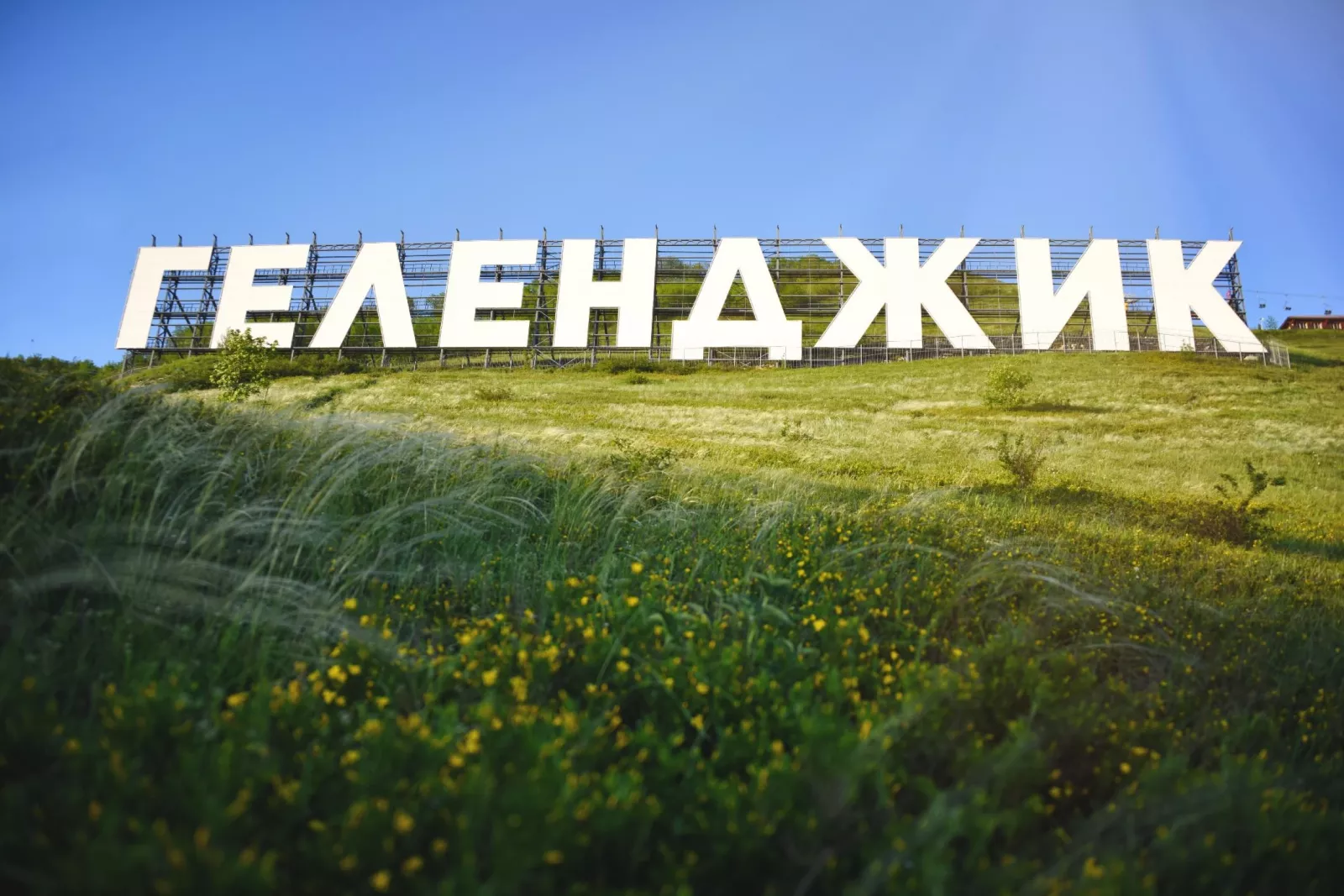 Большое фото 2