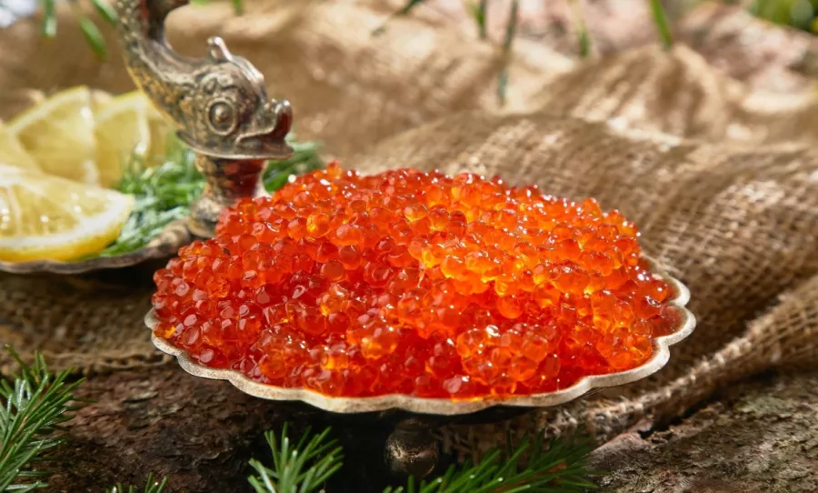 Магазин Карельская форель на Петергофском шоссе в Санкт-Петербурге: Еда, Морепродукты, Рыба,