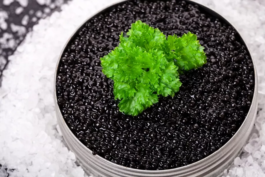 Икорный магазин Caviar в Санкт-Петербурге: Икорный магазин, Черная икра, Морепродукты, Фишмаркет, Покушать, Банные закуски, Деликатесы,