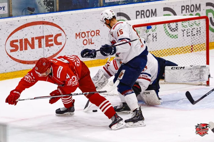 Хоккейный клуб "Ростов"