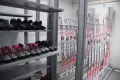 Миниатюра 7