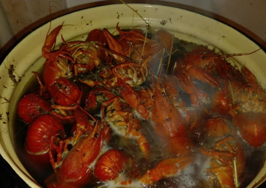 Магазин раков Раковый Ампир в Санкт-Петербурге: Еда, Магазин, Морепродукты, Раки,