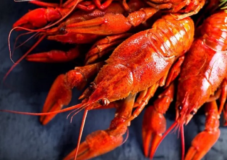 Магазин раков Раковый Ампир в Санкт-Петербурге: Еда, Магазин, Морепродукты, Раки,