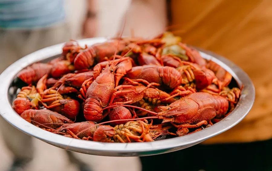 Магазин раков Раковый Ампир в Санкт-Петербурге: Еда, Магазин, Морепродукты, Раки,