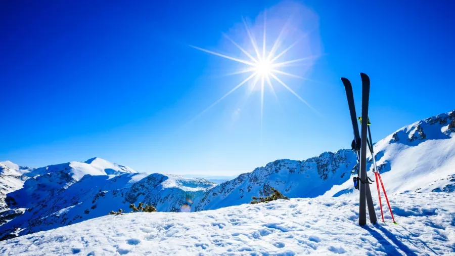 Главный прокат 960 в Красной Поляне: Аренда, Лыжи, Сноуборд, Снег, Зима, Снаряжение,