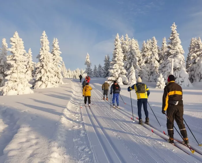  Спортивный магазин "Игоски"