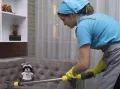 Миниатюра 8
