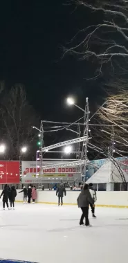 Ледовый каток