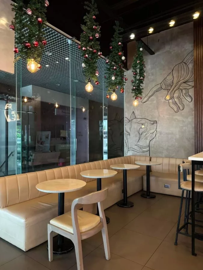 Кафе Miau в Себу: Cafe, Kittens, Кафе, Котики, Кошки, Кофе, Cats, Coffee,