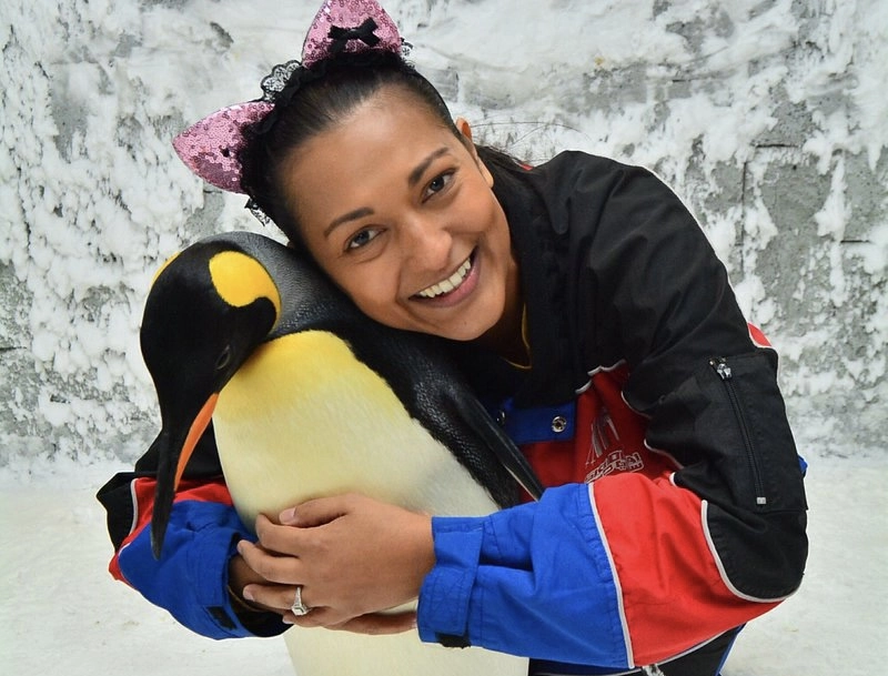 Шоу Пингвинов в Дубаи: Penguins , Пиднгвин🐧, Пингвины, Шоу Пингвинов, Зрелища, Марш, Развлечение,