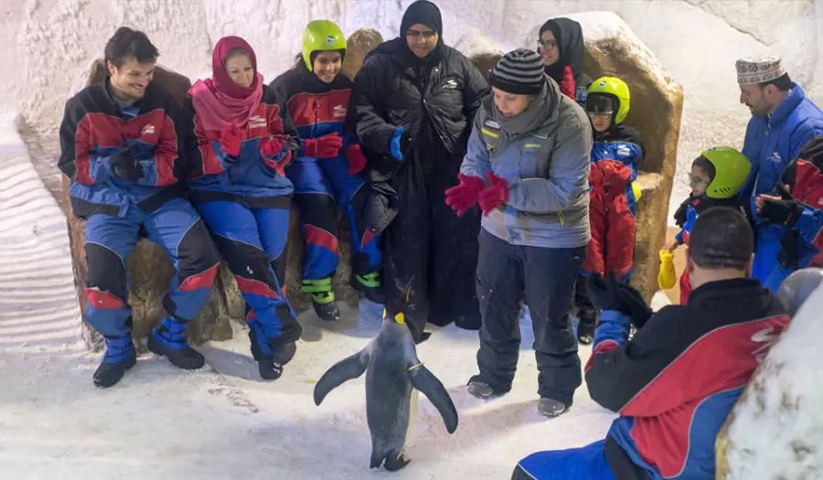 Шоу Пингвинов в Дубаи: Penguins , Пиднгвин🐧, Пингвины, Шоу Пингвинов, Зрелища, Марш, Развлечение,