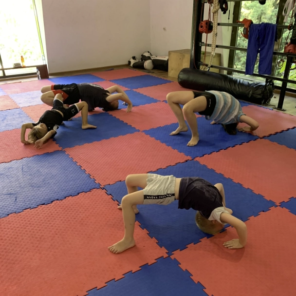 Спортивная секция Agate Bjj в Адлере: Грэпплинг, Джиу-джитсу, Развиваться, Боевые виды искусства , Фитнес, Самооборона , Борьба,