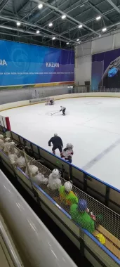 Ледовый дворец "Зилант"