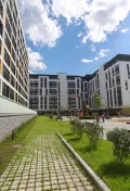 Миниатюра 8