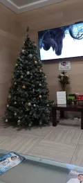 Миниатюра 4