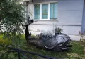 Миниатюра 5