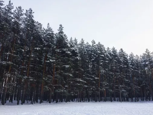 Лыжная база "Олень"